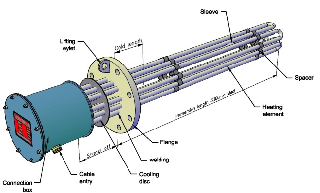 Flange immersion heaters